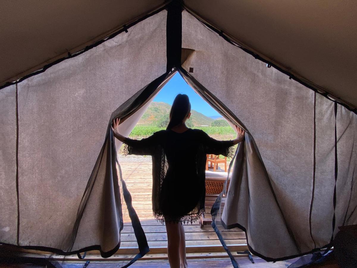 Hotel Cuatro Cuatros Ενσενάντα Εξωτερικό φωτογραφία